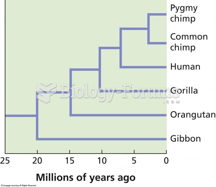 A phylogenetic tree showing the evolutionary relationships among hominoids. The evidence shows that 