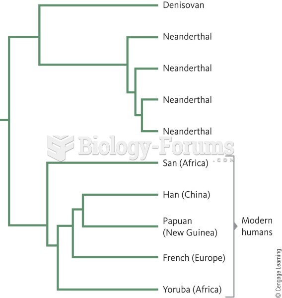A phylogenetic tree showing that Denisovans were more closely related to Neanderthals than to member