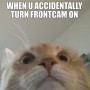 cat meme