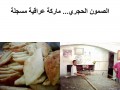 Iraqi Bread