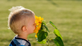 Boy Smelling a Yellow Flower