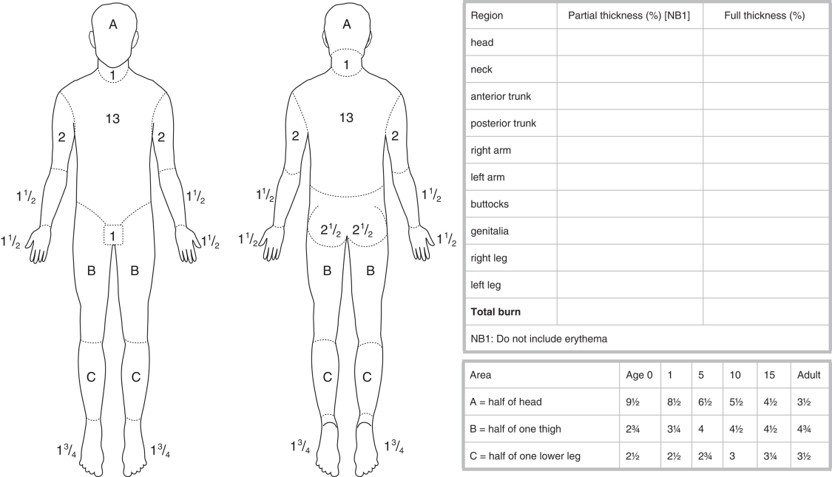 The Lund and Browder Chart