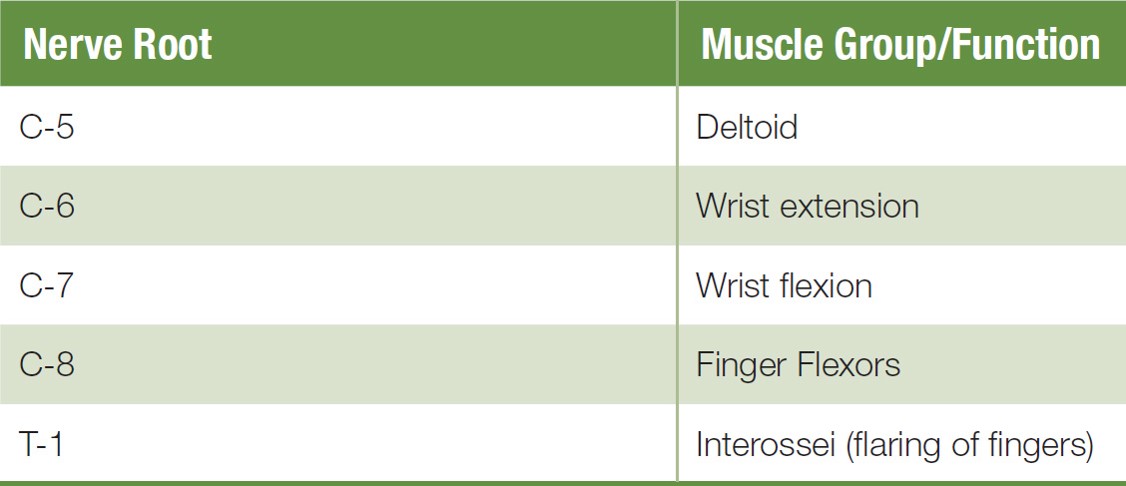 Cervical Spine Exam Reminder