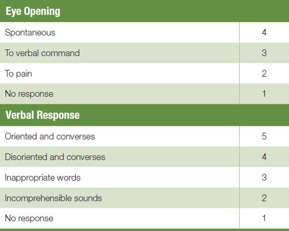 Glasgow Coma Scale (1 of 2)