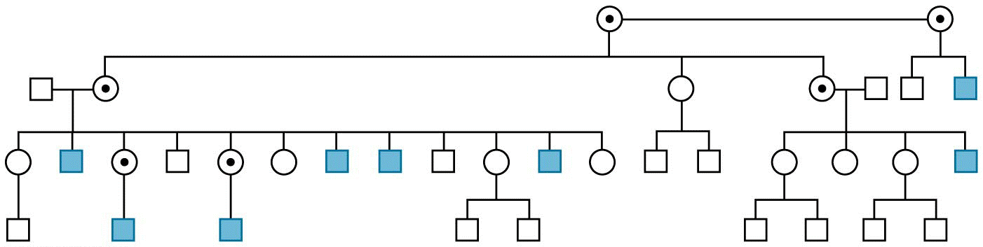 Mutations in the MAOA gene cosegregate with aggressive behavior