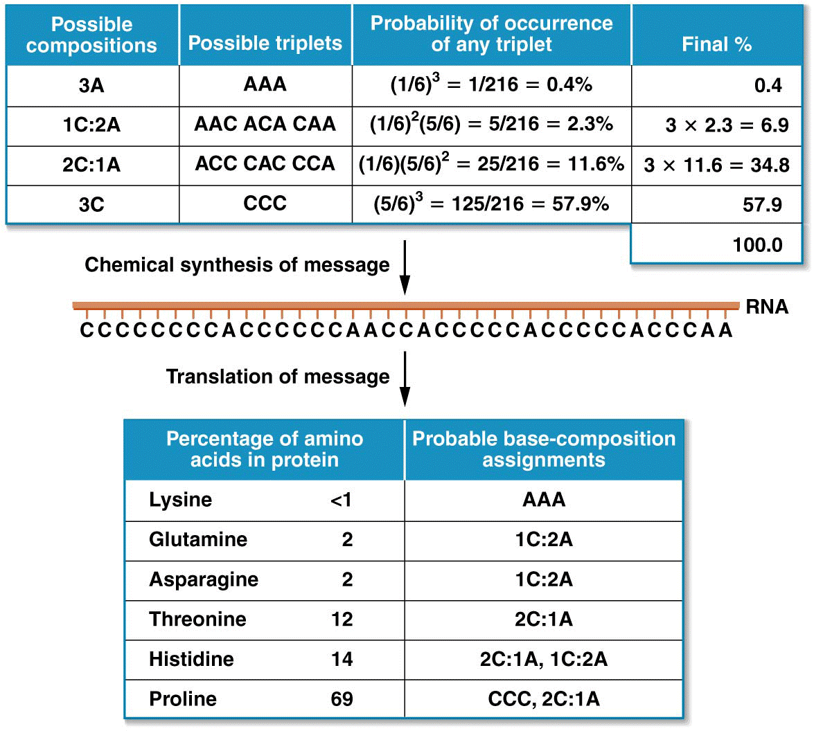 Results and interpretation of a mixed copolymer