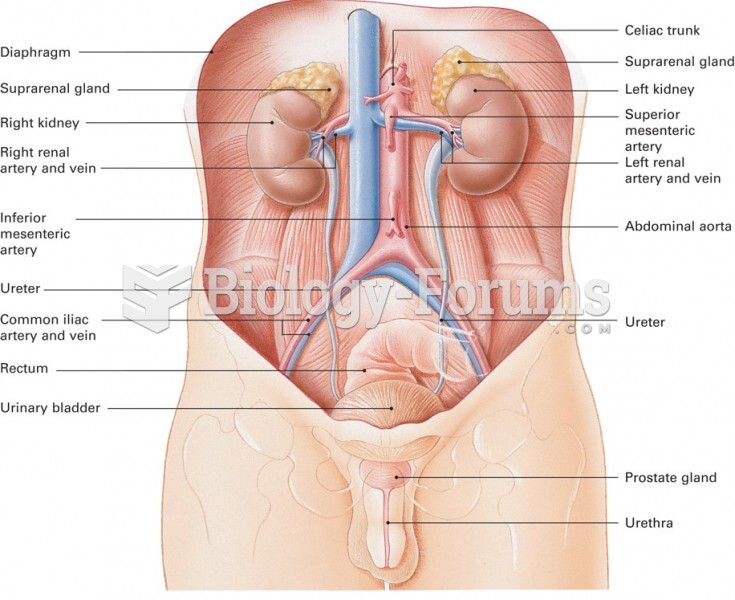 Major Elements of the Genitourinary System