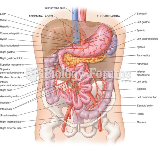 The Abdominal Arteries