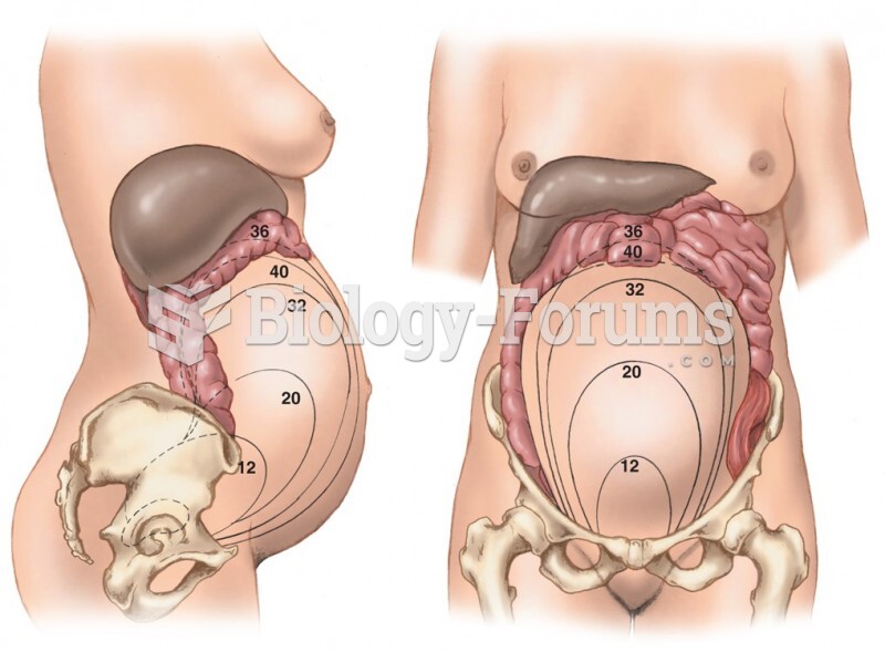 Changing Dimensions of the Pregnant Uterus. Numbers Represent Weeks of Gestation