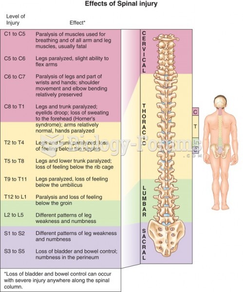 The Effects of a Spinal Cord Injury by Spinal Level