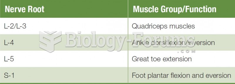 Lumbar Spine Exam Reminder