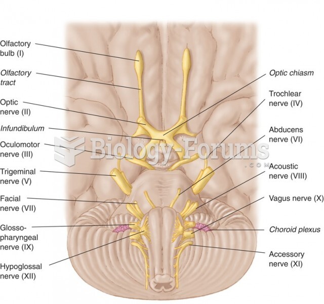 The Cranial Nerves as They Exit the Base of the Brain
