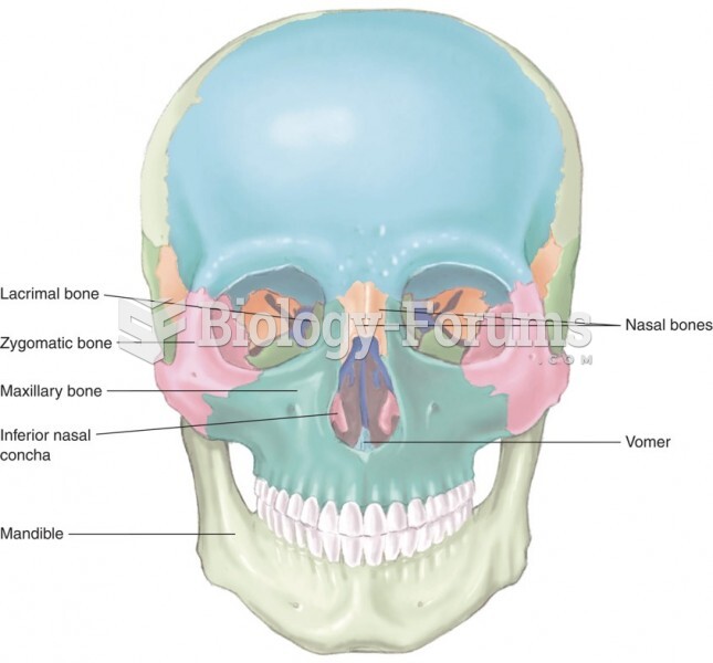 The Facial Bones