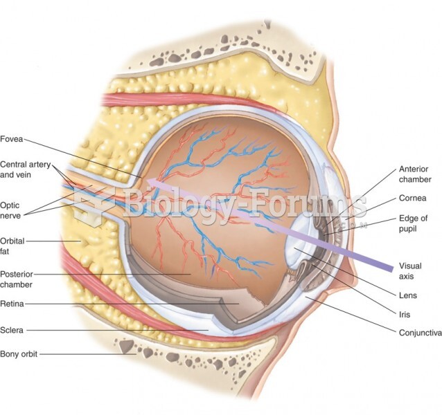 The Anatomy of the Eye