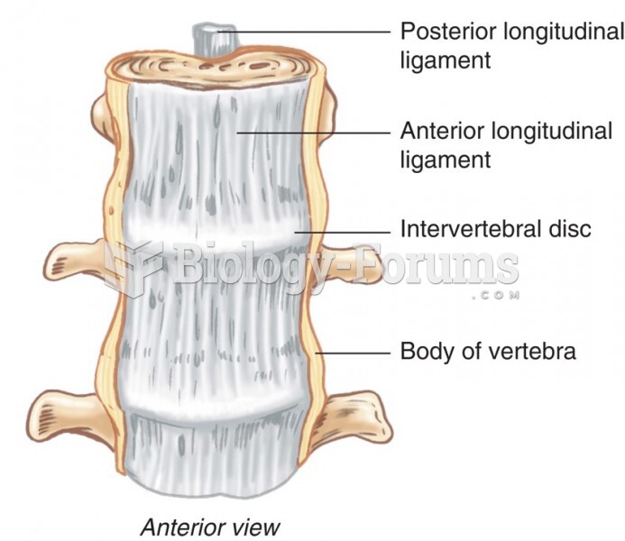 Anterior View of the Spinal Column Showing Anterior and Posterior Longitudinal Ligaments