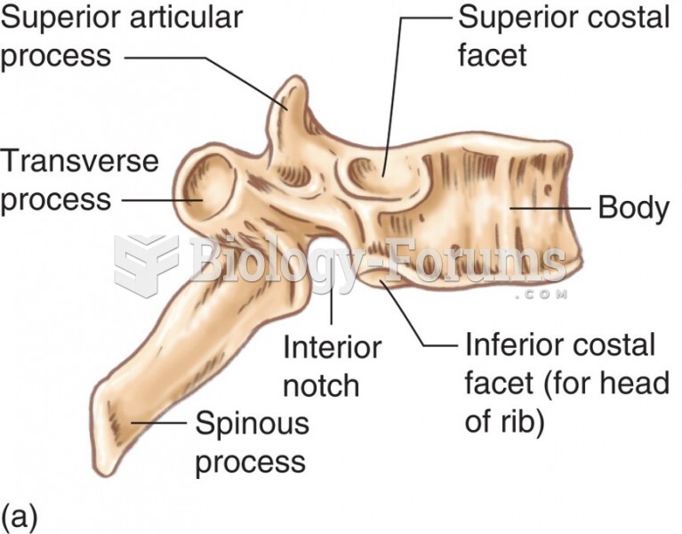 The Thoracic Vertebrae: Right Lateral View of Vertebra