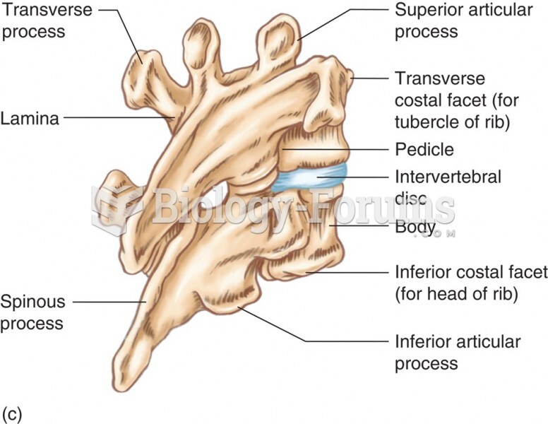 The Thoracic Vertebrae: Thoracic Spine Articulations
