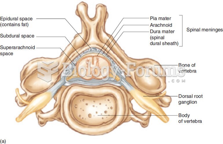 Anatomy of the Spinal Cord: Cross Section Through the Spinal Cord in the Cervical Region