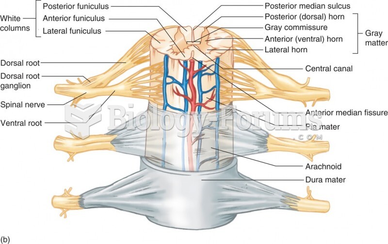 Anatomy of the Spinal Cord: Three-Dimensional Anterior View of the Spinal Cord and the Meningeal Cov