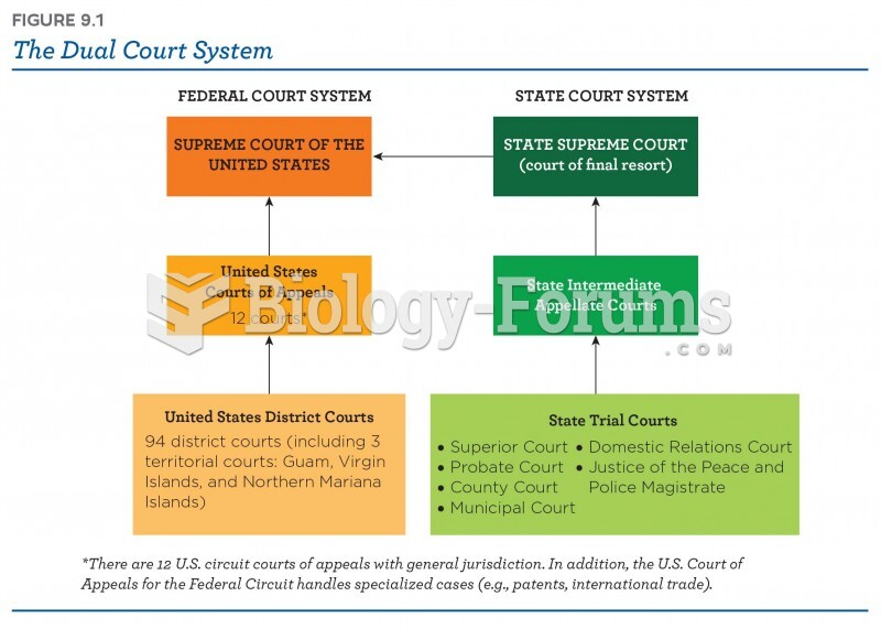 The Dual Court System