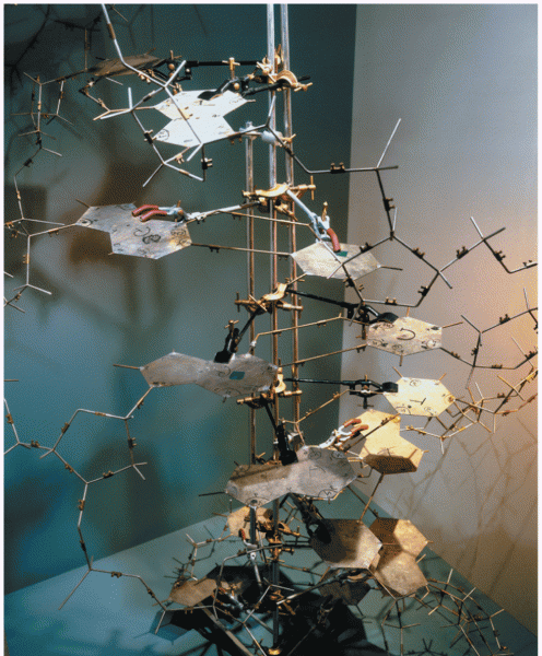 James Watson and Francis Crick’s metal-and wire model of DNA