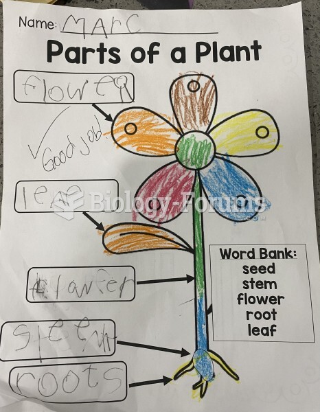 Parts of a Plant