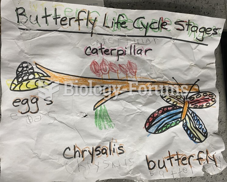 Butterfly life cycle stages June 6 2023