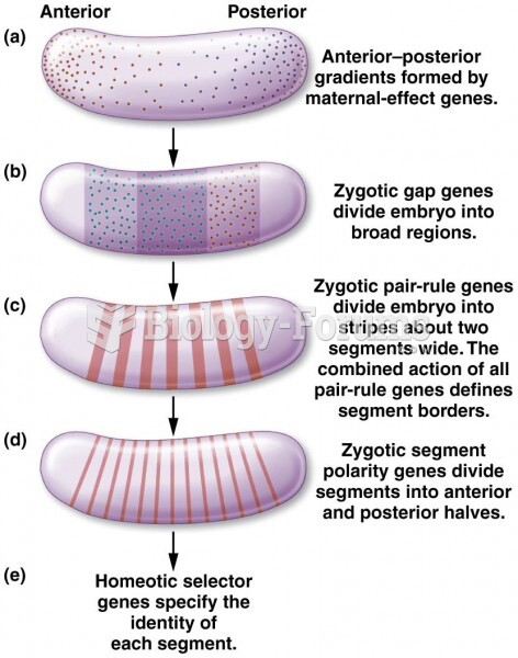 Progressive restriction of cell fate during development in Drosophila
