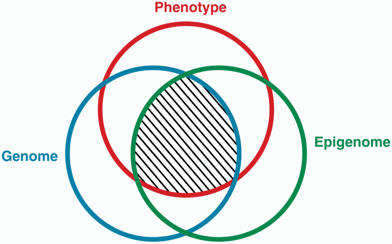 The phenotype of an organism is the product of interactions
