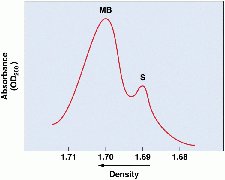 Separation of main-band (MB) and satellite (S) DNA