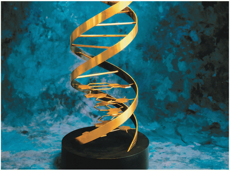 Opener Bronze sculpture of the Watson–Crick model for double-helical DNA
