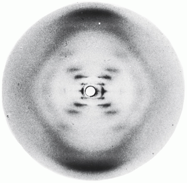 X-ray diffraction photograph by Rosalind Franklin 