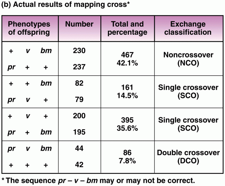 Combination of arrangement and sequence is correct