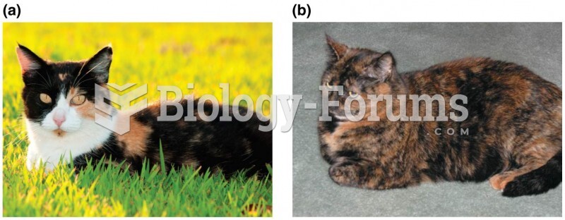 Calico cat illustrates the Lyon hypothesis