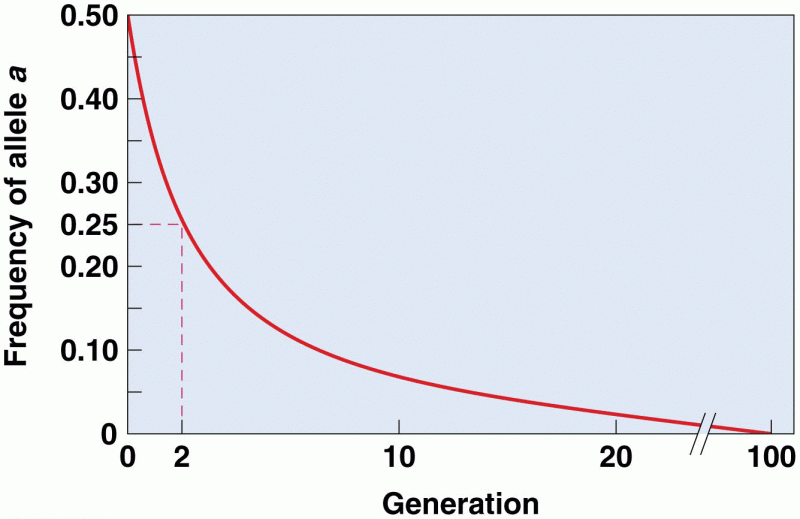 Change in the frequency of a lethal recessive allele, a