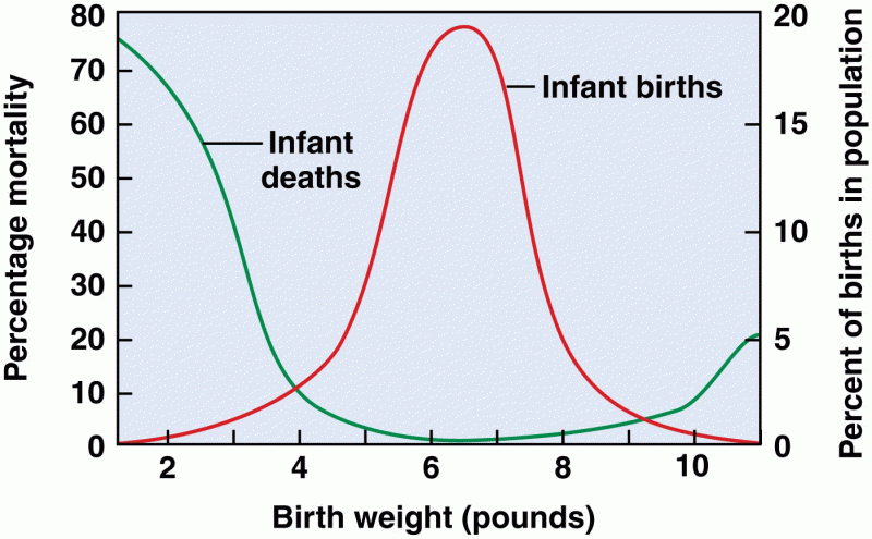 Relationship between birth weight and mortality in humans