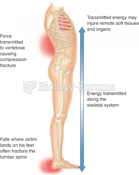 In Falls, Energy Is Transmitted Along the Skeletal System