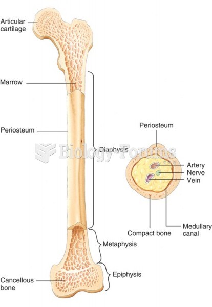 The Internal Anatomy of a Long Bone