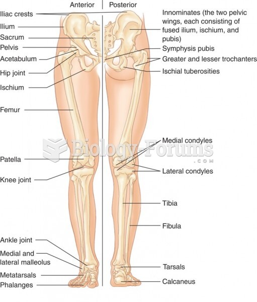 The Lower Extremities