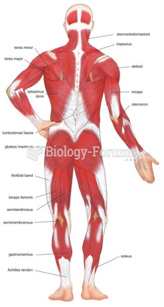 The Muscular System (Posterior View)