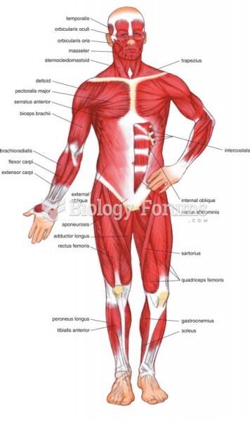 The Muscular System (Anterior View)