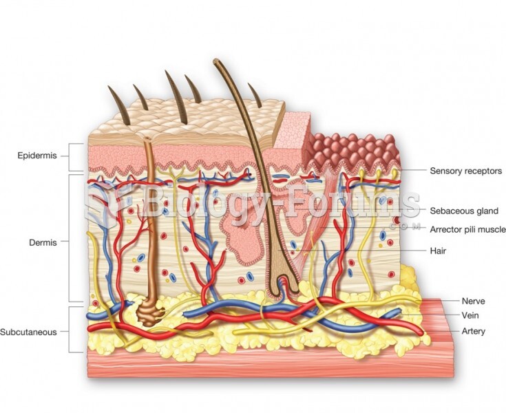Layers and Major Structures of the Skin