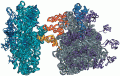 Opener Crystal structure of a Thermus thermophilus