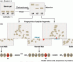 Investigation of hemoglobin derived from HbAHbA, HbAHbS, and HbSHbS