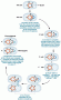 Conversion of an Hfr bacterium