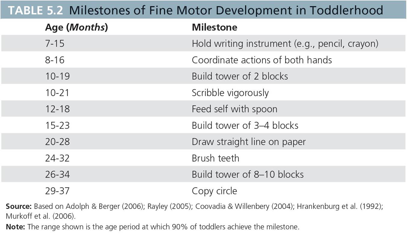 Milestones of Fine Motor Development in Toddlerhood 