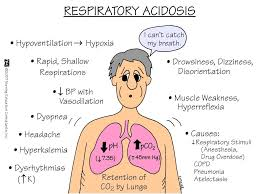 Respiratory