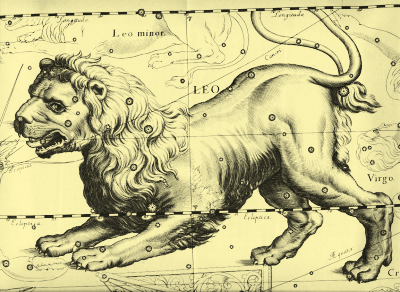 This 1690 depiction of the constellation of Leo, the lion, is by Johannes Hevelius.