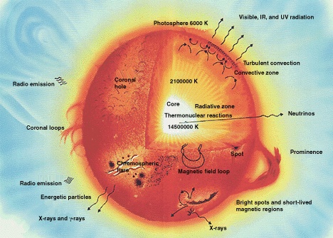 This diagram shows a cross-section of a solar-type star.