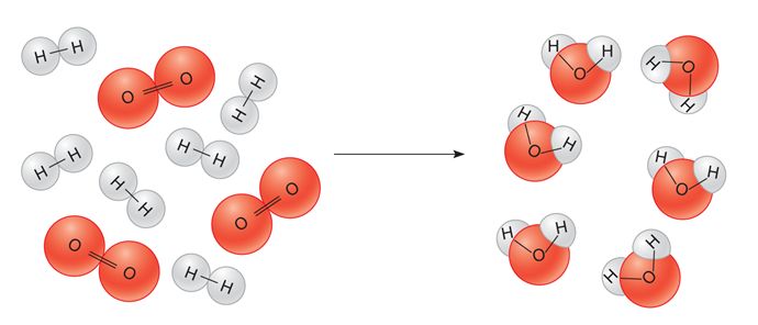 Water Molecules